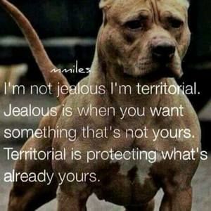 Meet your Posher, Issiah